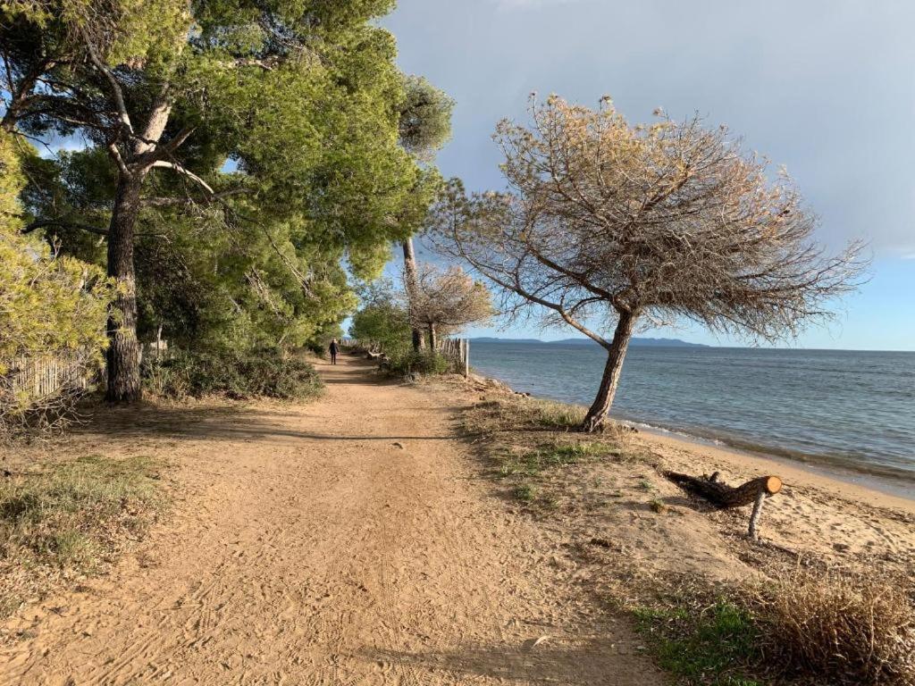 Joli T2 Proche Plage Dans Residence La Londe-les-Maures Buitenkant foto
